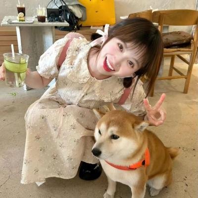 窥探